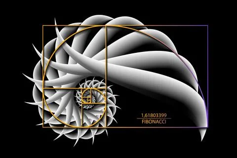 Fibonacci Sequence Golden ratio. Geometric shapes spiral. 3D Snail spiral Illustrazione stock