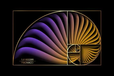 Fibonacci Sequence Golden ratio. Gold geometric shapes. Colorful Snail spiral Illustrazione stock