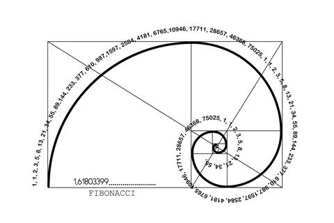 Fibonacci Sequence Spiral. Golden ratio. Geometric shapes Circles Ilustração Stock