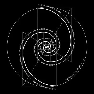 Fibonacci Sequence Spiral. Golden ratio. Geometric shapes golden proportion Illustrazione stock