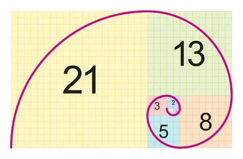 Fibonacci spiral and approximation of the golden spiral Stock Illustration