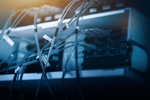 Fibre cable connected to patch. Telecommunication concept. Stock Photos
