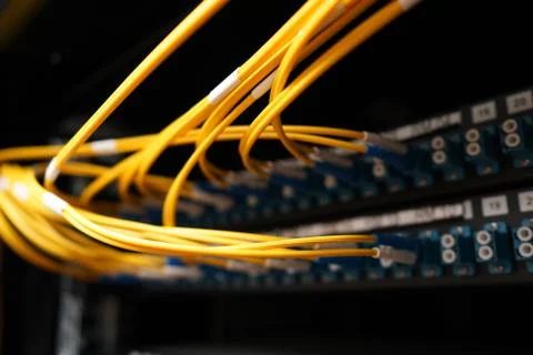 Fibre cables going in to a patch panel 스톡 사진