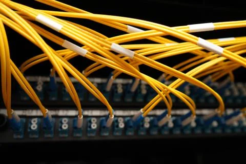 Fibre cables going in to a patch panel 스톡 사진