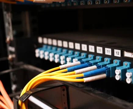 Fibre cables going in to a patch panel 스톡 사진