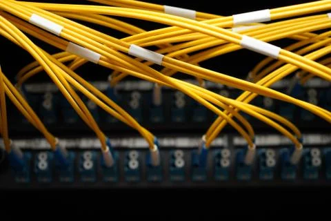 Fibre cables going in to a patch panel Foto stock