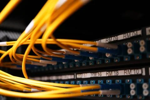 Fibre cables going in to a patch panel 스톡 사진