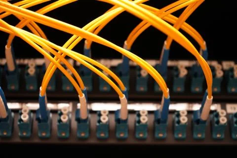 Fibre cables going in to a patch panel Foto stock