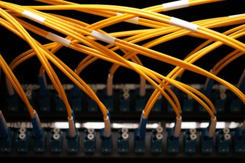 Fibre cables going in to a patch panel 스톡 사진