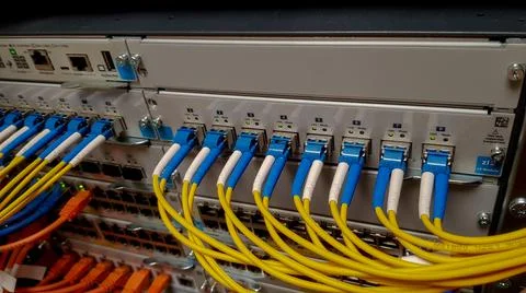 Fibre optic cables going in to a network switch 스톡 사진