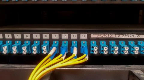 Fibre optic cables going in to a network switch Stock Photos