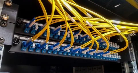 Fibre optic cables going in to a network switch Stock Photos