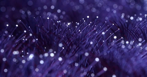 Fibre Optic Terminations. Fiber Optics With Flashing Light Signals. Loop. Stock Footage 122862939