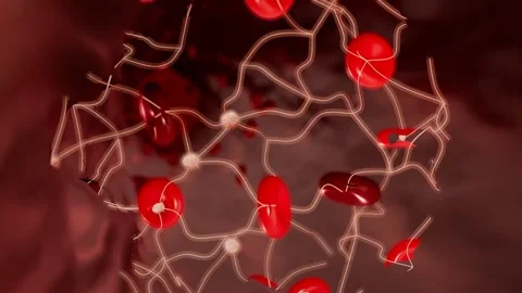 Fibrin mesh trapping red blood cells coagulation loop 스톡 동영상 343136820
