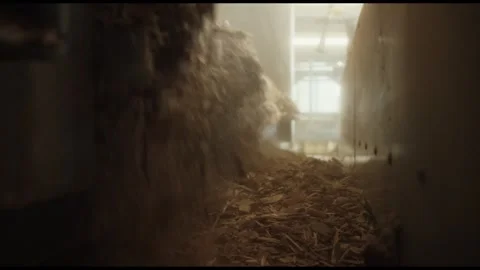 Fibrous Biomass Falling in Dusty Backlit Hall, Bioenergy Plant, Close Up Shot Видео 341436840