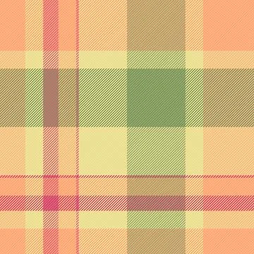 Fibrous plaid pattern texture, package fabric background vector. Femininity.. Illustrazione stock