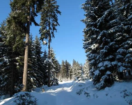 Fichtelberg in winter Stock Photos