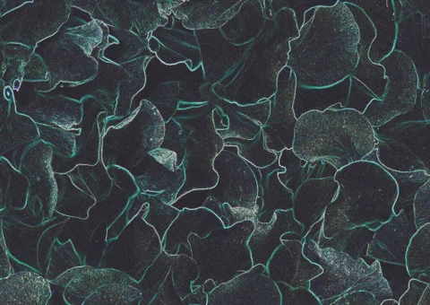 Fictional Background Stock Illustration