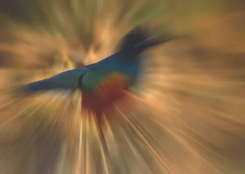 Fictional Background Stock Illustration