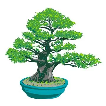 Ficus Bonsai Tree Isolated WPA Poster Art. Stock Illustration