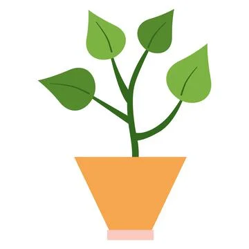 Ficus with four leaf in orange square ceramic pot Stock Illustration