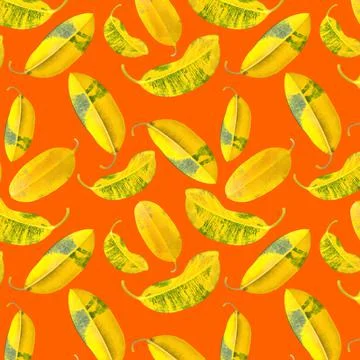 Ficus leaves seamless pattern on orange background. 스톡 일러스트