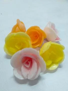 Ficus nota  Stock Photos