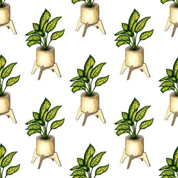 Ficus pattern in a pot watercolor 스톡 일러스트