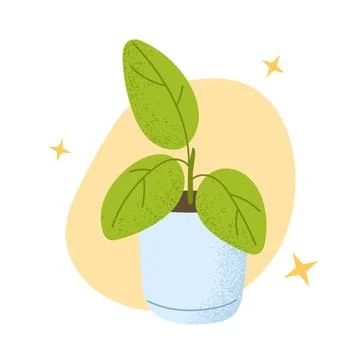 Ficus in pot. Green-leaf home decoration. Flat vector illustrations isolated Stock Illustration
