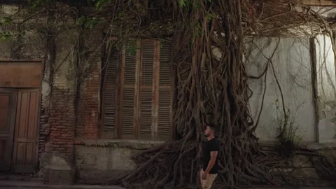 Ficus Tree Growing at Wall - Kota Lama Semarang Old Town Preserved Colonial City Stock Footage 248801194