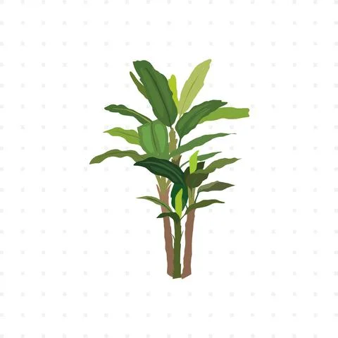 Ficus tree isolated illustration Stock Illustration