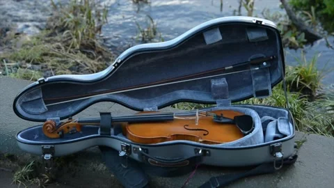 Fiddle - 1 Stock Footage 146040311