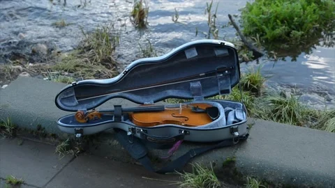 Fiddle - 2 Stock Footage 146040318