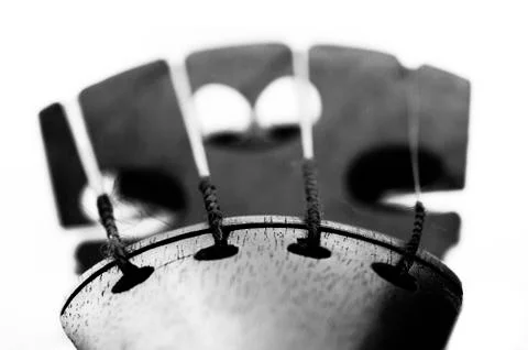 Fiddle bridge Stock Photos