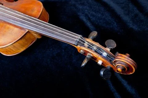 Fiddle pegbox on black velvet background Stock Photos