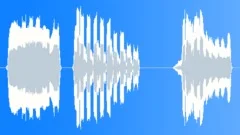 Fiddle signalsSound Effect