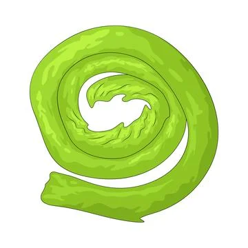 Fiddlehead illustration 스톡 일러스트