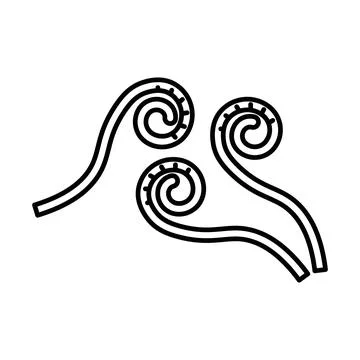 Fiddleheads icon linear logo mark in black and white Stock Illustration