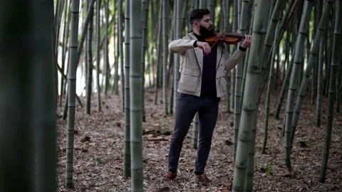 Fiddler in bamboo grove, handsome man is playing music by old violin in nature Vídeo Stock 171071387