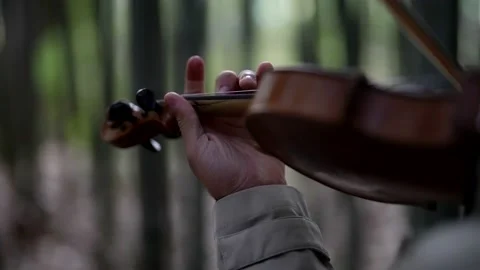 Fiddler is playing music in forest, closeup of hands with violin, romantic shot 库存影片 171071012