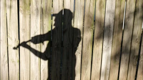 Fiddler Playing Violin Shadow on Wooden Fence in Sunlight – Slow Motion Stock Footage 347246493