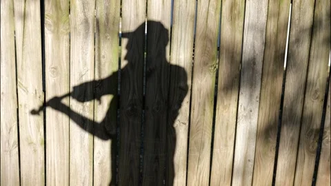 Fiddler Playing Violin Shadow on Wooden Fence in Sunlight Stock Footage 347246782