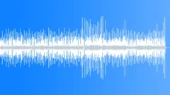 Fiddlers Contest Stock Music