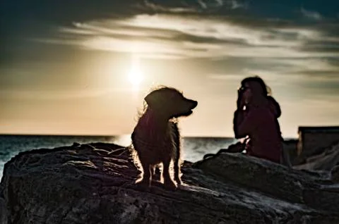 Fidelity Stock Photos