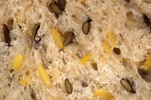 Fief grains bread crumb surface. Flax seeds bread crumb texture. Diet food ba Stock Photos