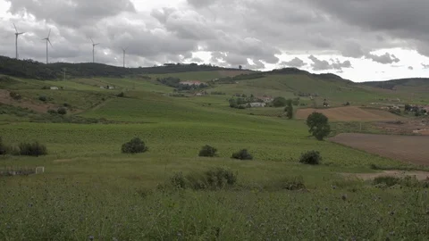 Fiel with a Mountain Stock Footage 92767403