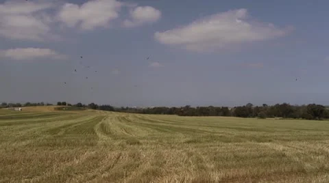 Field 0311 3 Stockbeeldmateriaal 14833435