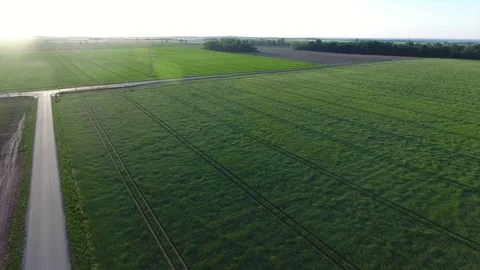 Field 1080 25fps Video stock 96314013