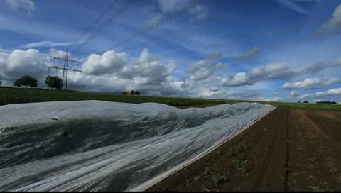 Field  14 库存影片 11239857