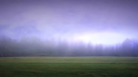 Field 2 Video stock 21244787